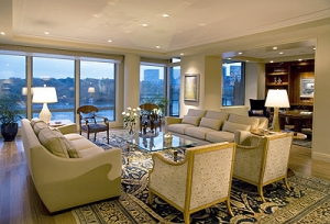 Modern Living Room decorated with antique area rug