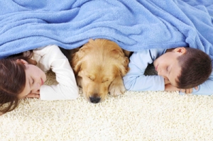 Children sleeping on the clean carpet